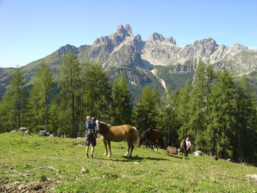 Haus Panorama *